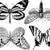 Large Butterflies Black (Decal-016)