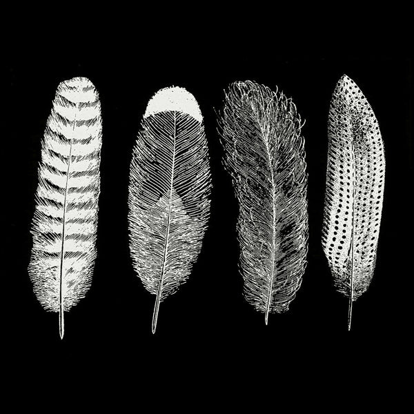 Large Feathers White Mica Decal 019