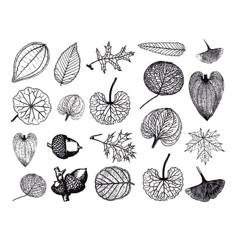 Small Leaves Black (Decal-050)