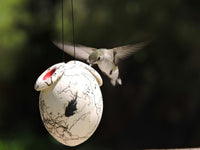 Bird Feeders