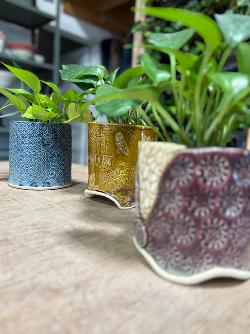 Planters Workshop