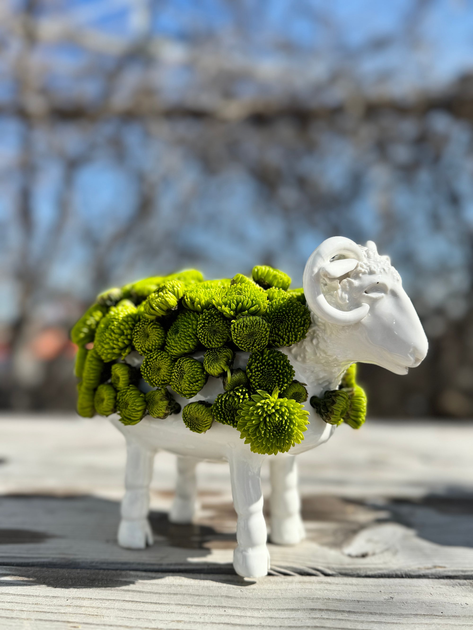 Late-Winter 2026 Handbuilding: Mixed Levels