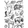 UG 001 Animals 9*6.5