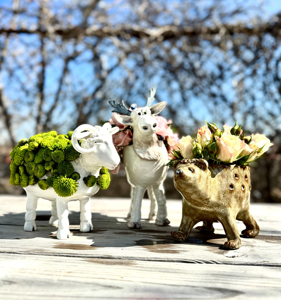 Handbuilding Mixed Levels - with Anne Nicol Jan.8 Wednesday mornings  10am-12:30pm  - Winter 2025