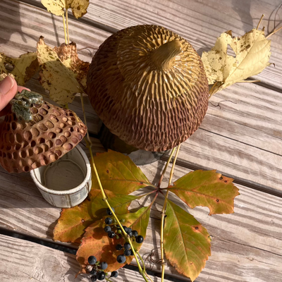 Acorn Storage Jars