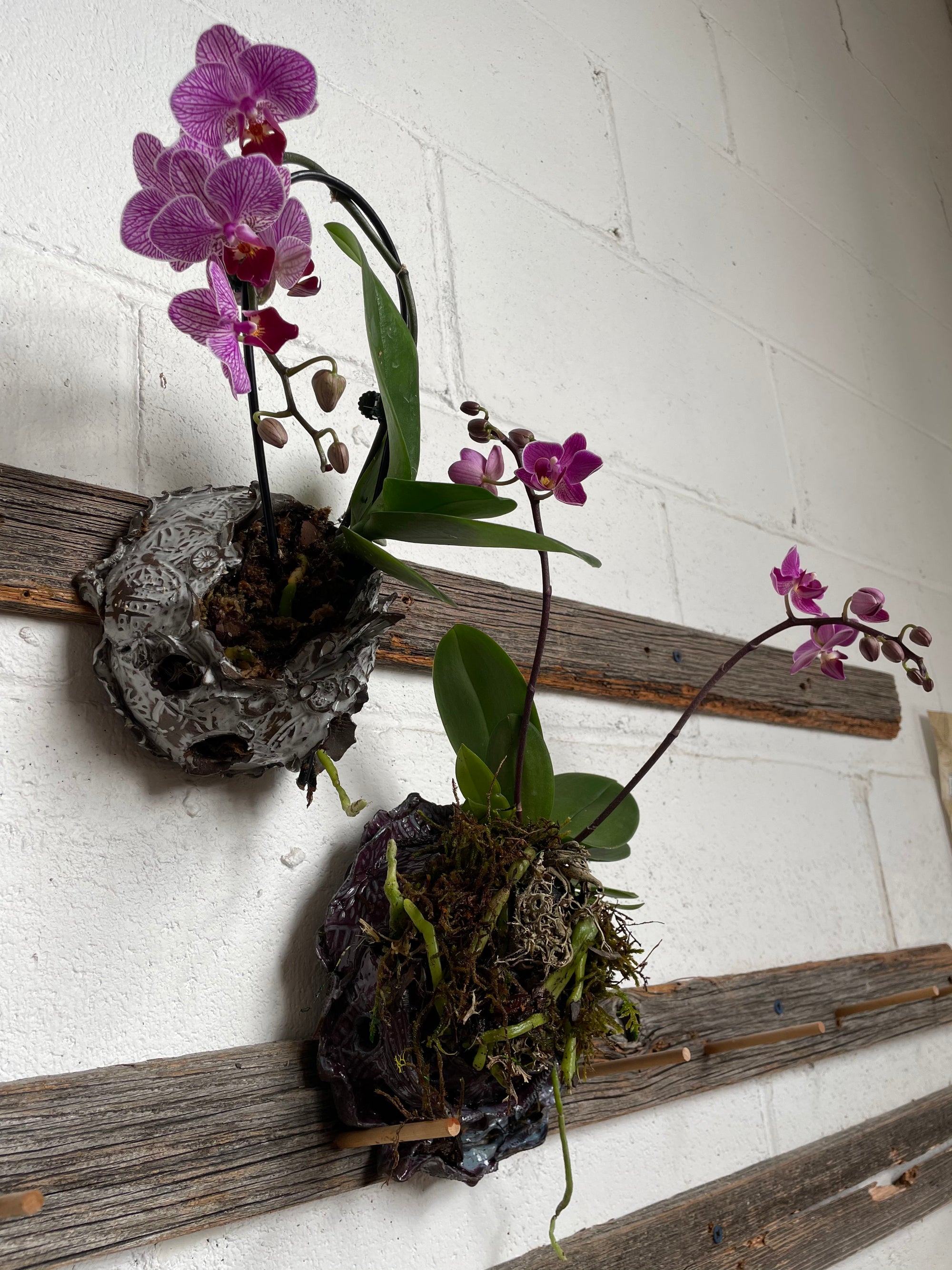Wall Planter