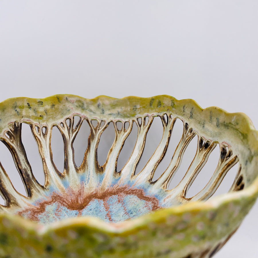 Late-Autumn 2025 Handbuilding: Mixed Levels (Oct/Nov-Dec)