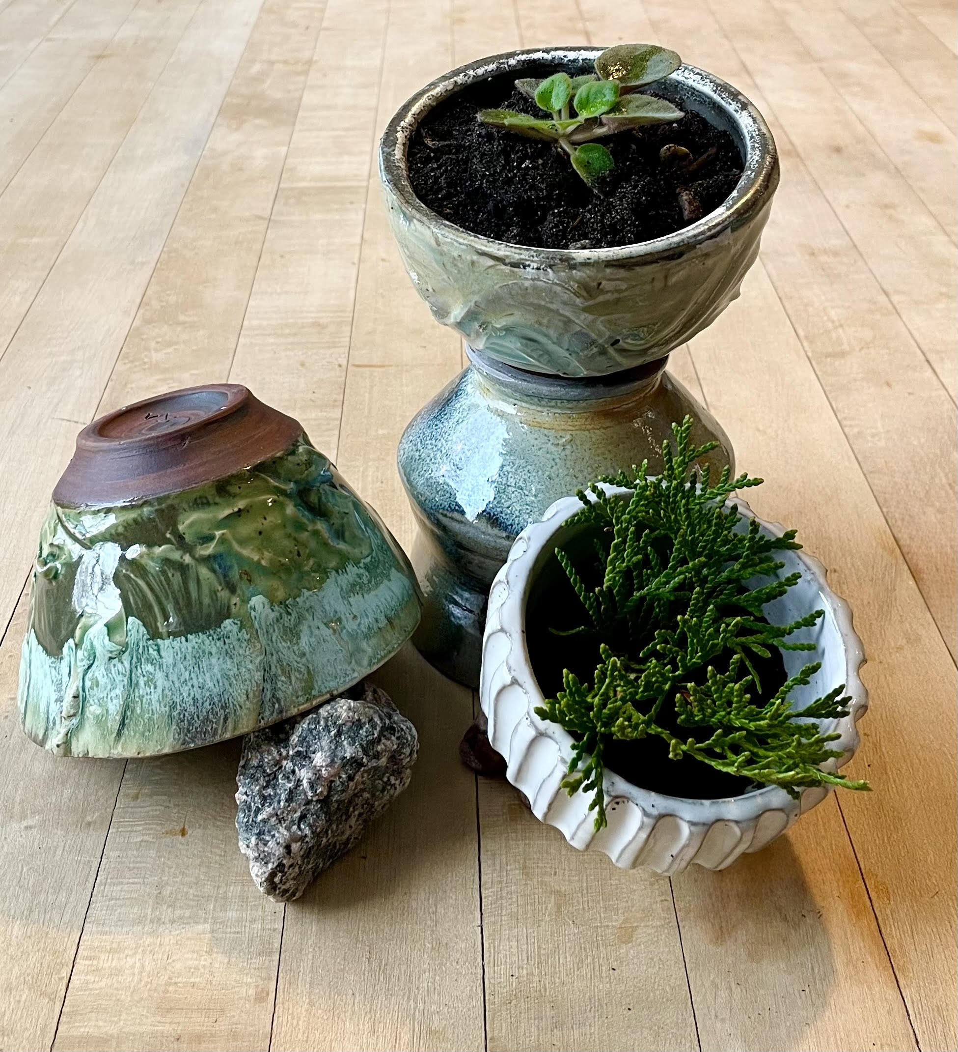 Early-Winter 2026 Beginner+ Thrown & Altered