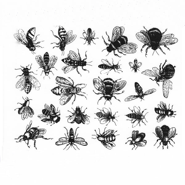Vintage Bees Black (Decal-045)