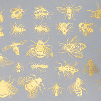 Decals: Insects and Animals