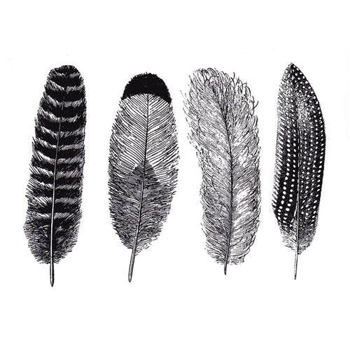 Large Feathers Black (Decal-018)