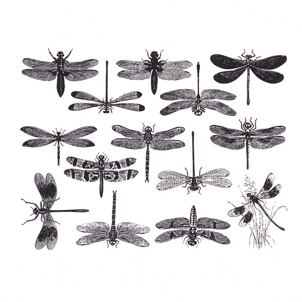 Dragonflies Black (Decal-007)