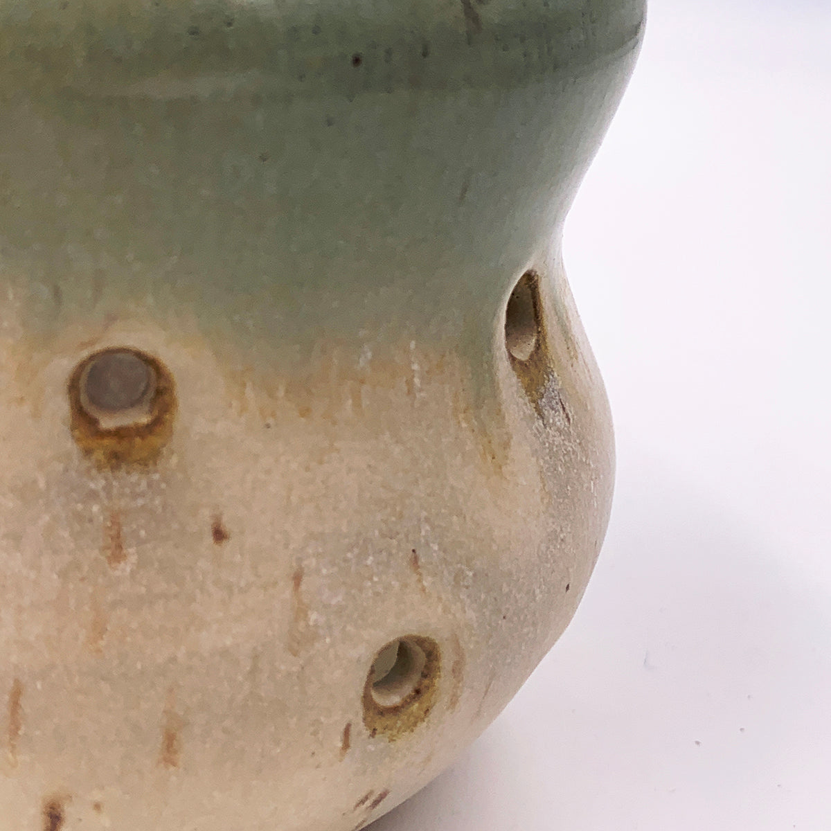 One of a Kind Garlic Jar, Lichen over Quartz