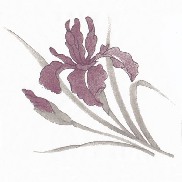 Iris Flower (Various Sizes)