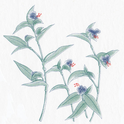 Blue Flower and Foliage-Small (JPT-003B)