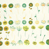 Modern Flowers Emerald and Gold (Decal-022)