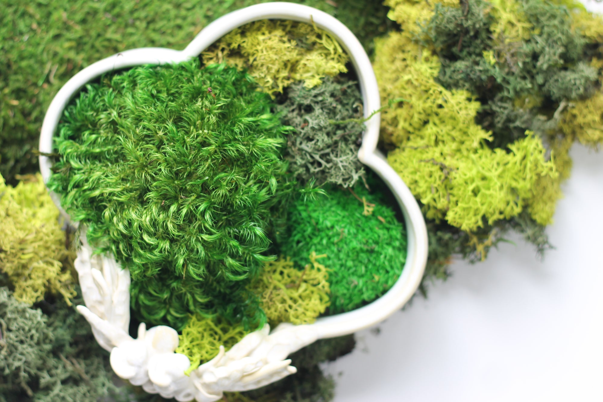 Early-Winter 2026 Handbuilding: Mixed Levels