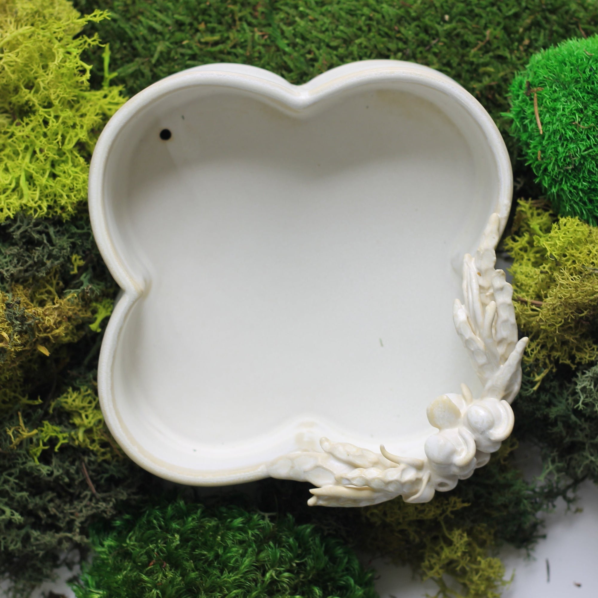 Handbuilding Mixed Levels - with Anne Nicol Jan.8 Wednesday mornings  10am-12:30pm  - Winter 2025