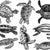 Sea Turtle Black (Decal-028)
