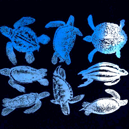 Sea Turtle White Mica (Decal-029)
