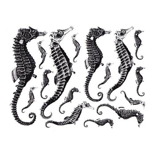Seahorses Black (Decal-030)