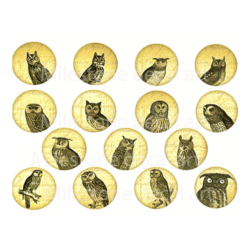 Wise Owls Gold Lustre (Decal-071)