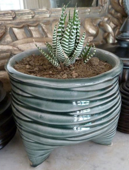 Planters Workshop with Emily Dore, February 29th, 2020,  from 2:00pm – 5:00pm