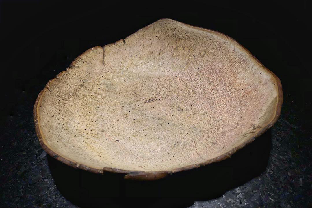 Handbuilt Plate/Bowl