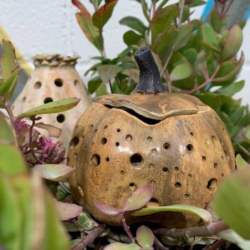 Gourd & Pumpkin Lanterns