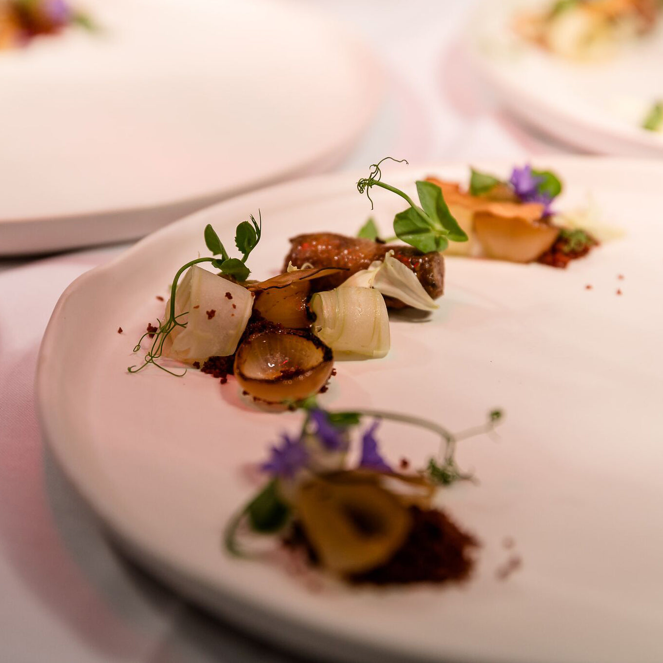 Jean Philippe Cloutier